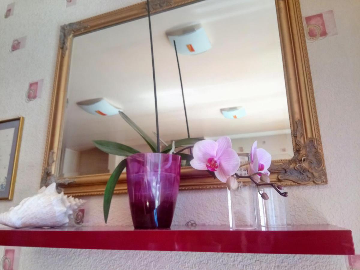 Accommodation Zara Vukovar Dış mekan fotoğraf